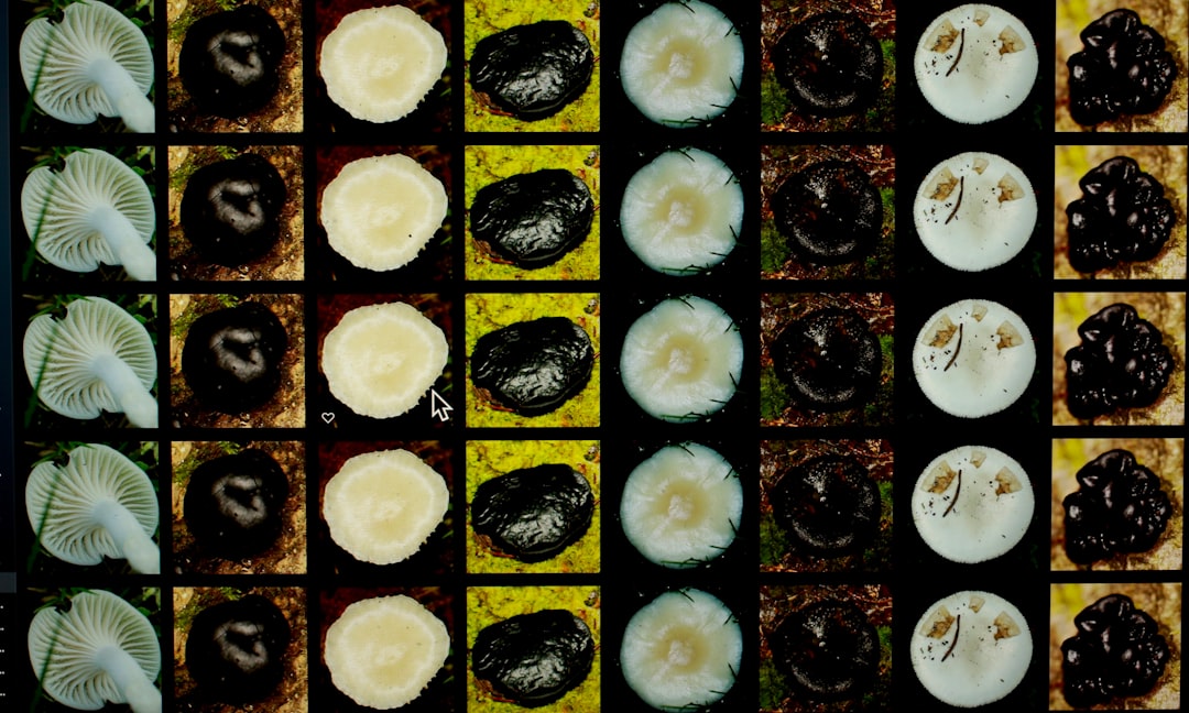 sliced fruit on black surface