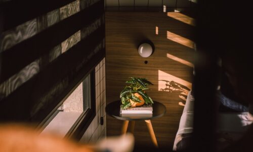 a small table with a potted plant on top of it