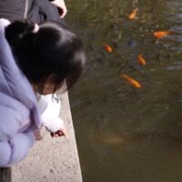 産後 ダイエット グッズ おすすめの説明図 | ダイエット・産後