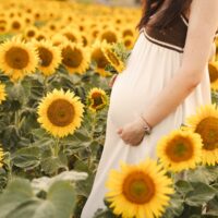Pregnant woman poses in a field of sunflowers.