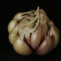 産後 整体 ダイエット 効果の参考画像 | ダイエット・産後