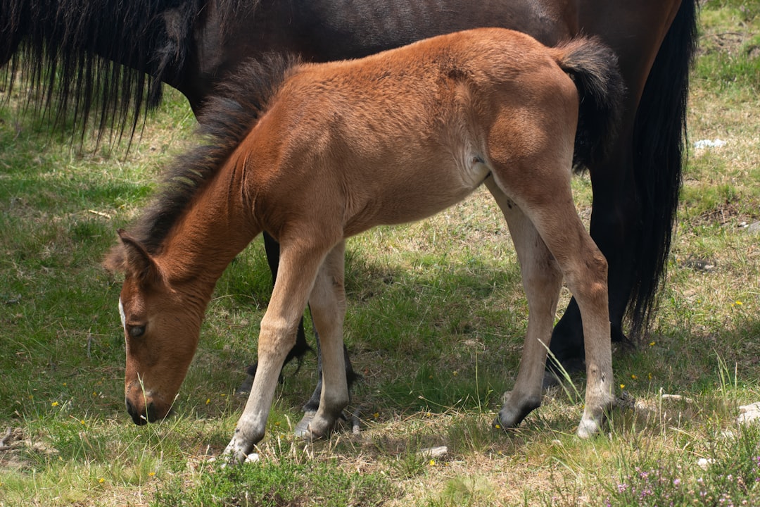 産後 ジョギング いつからの実例写真 | 産後・運動